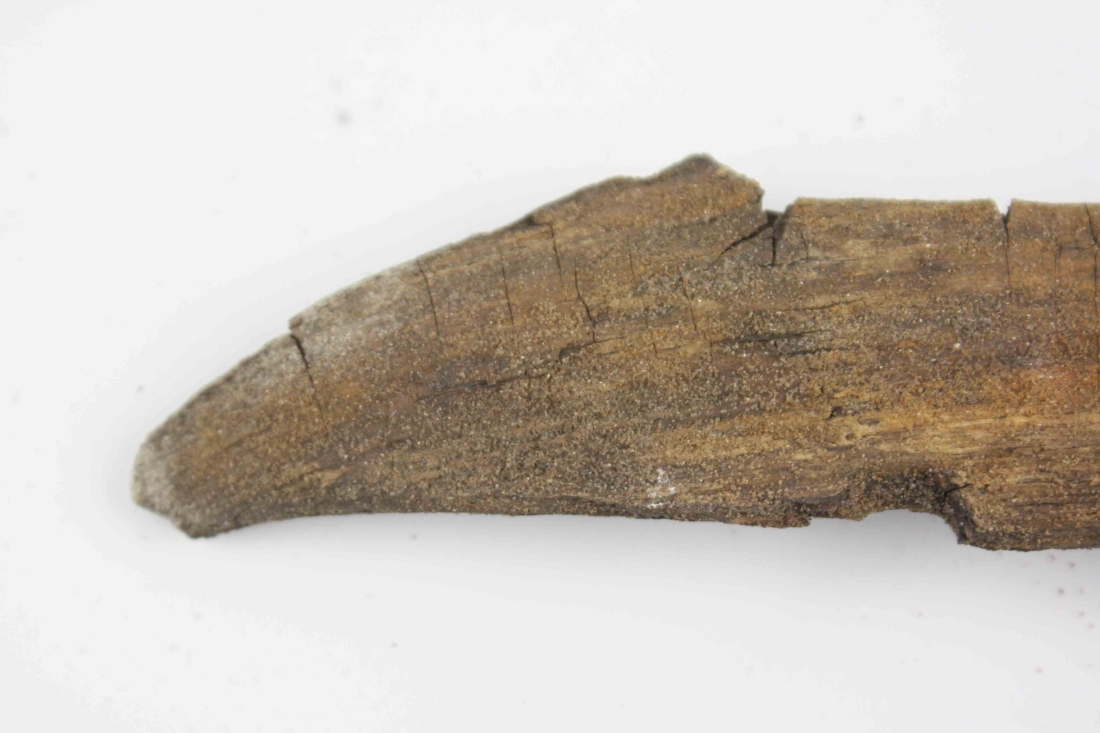 File ATD 40642 (4).jpg